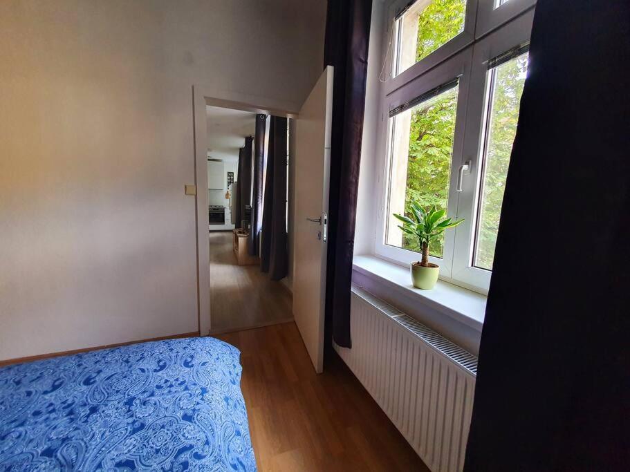 Lovely & Unique Apt In The Historic Center. Bratislava Exterior foto